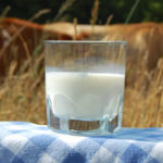 glass of milk