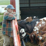 Person with dairy calves