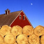 Small farm in Ames, IA