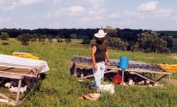 Moving pastured poultry pens