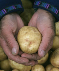 CIAS Receives Wisconsin Idea Grant for Local Food