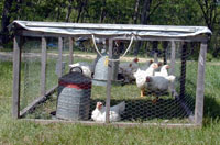 Poultry Your Way