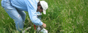 How does Managed Grazing Affect Wisconsin’s Environment?