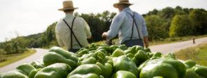Scaling Up: Meeting the Demand for Local Food