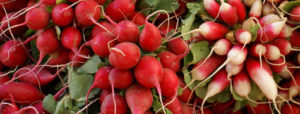 Economic Potential of Increased Fruit and Vegetable Production in the Upper Midwest