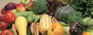Values-Based Food Suppy Chain Case Study: Red Tomato