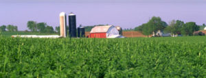 Using Values-Based Food Supply Chain Case Studies in University Classes
