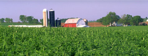 Barn and field