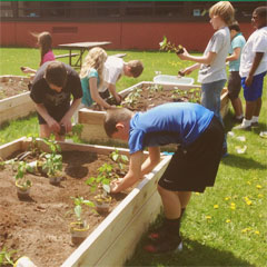 Advancing Farm to School: Lessons from the Field