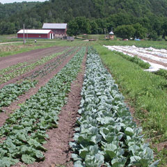 UW–Madison CIAS part of new USDA-funded collaborative project to study U.S. food flows