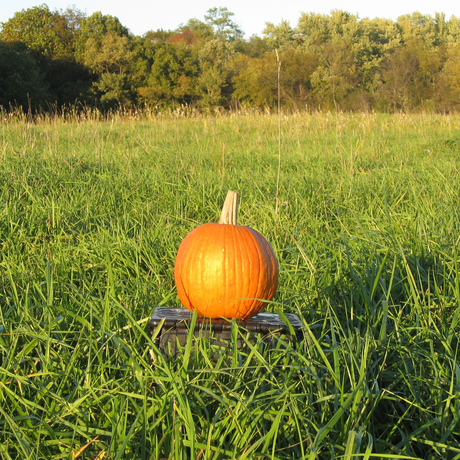 CIAS Harvest Dinner: The Future of Organic Food and Farming