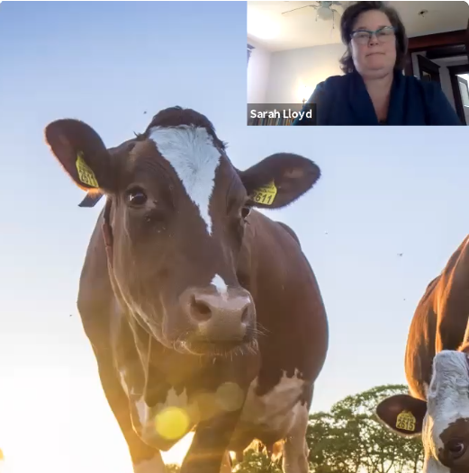 Dairy Growth Management: Presentation by Torsten Hemme