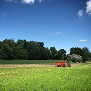 Grant supports expanding supply chains for regional grains to local cafeterias