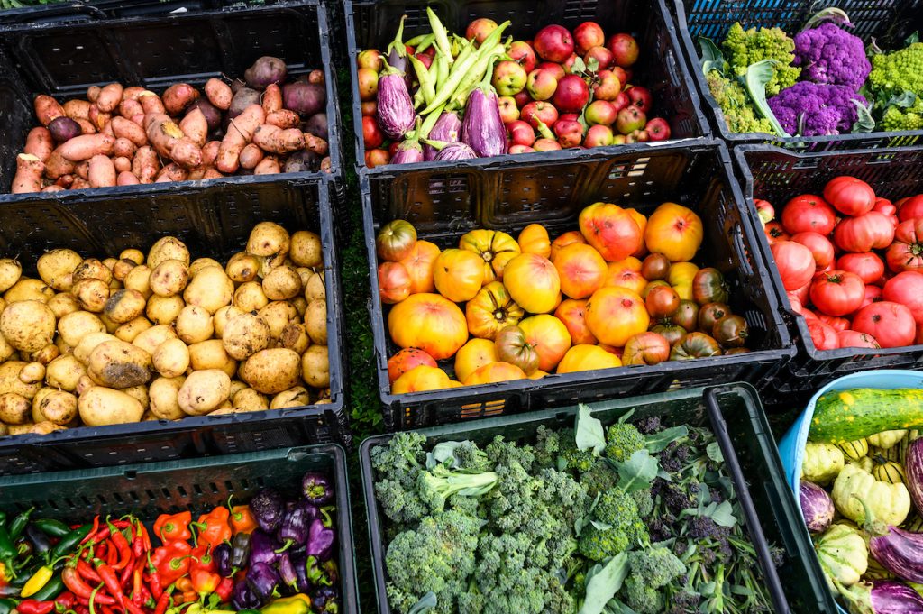 A variety of foods