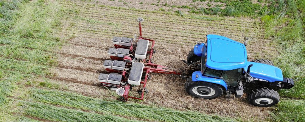 Cover Crops