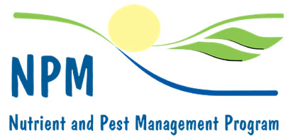 NPM Logo
