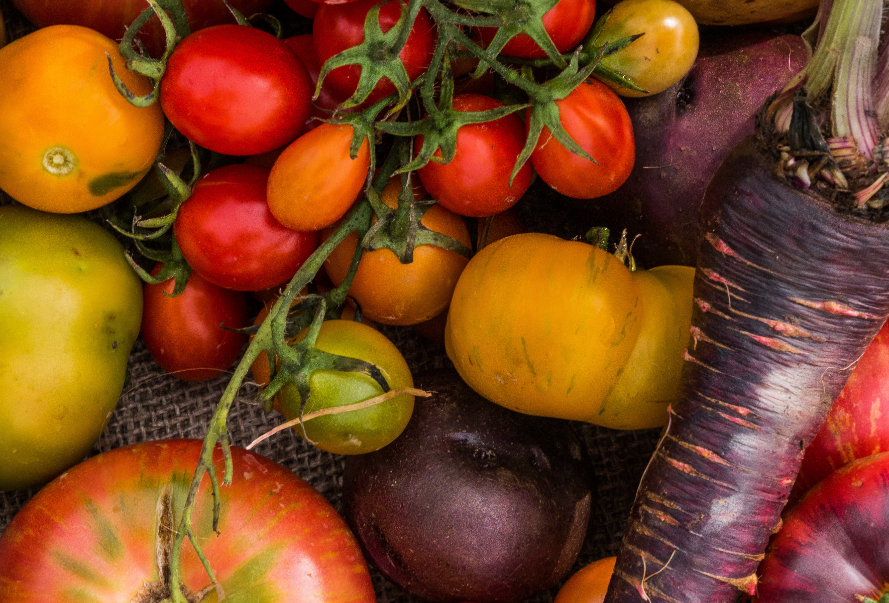 Organic Agriculture in Wisconsin: 2021 Status Report