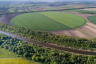 Irrigation system in wheat field