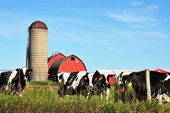 World Dairy Expo