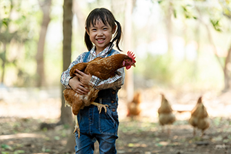 Little girl hold chicken in hand