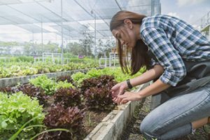 2022 summer mini grants awards