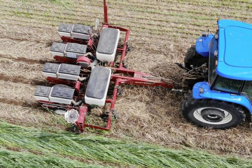 Tractor tilling crops in a field