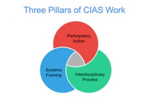 Infographic describing the three pillars of CIAS work