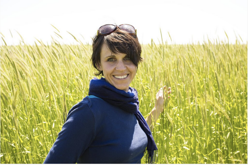 Welcome Director Silva!
