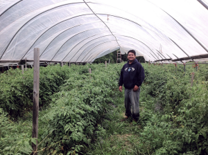 Call for farmer-rancher grant proposals now open