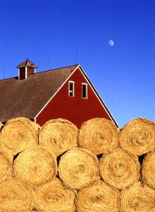 Toward a Sustainable Agriculture