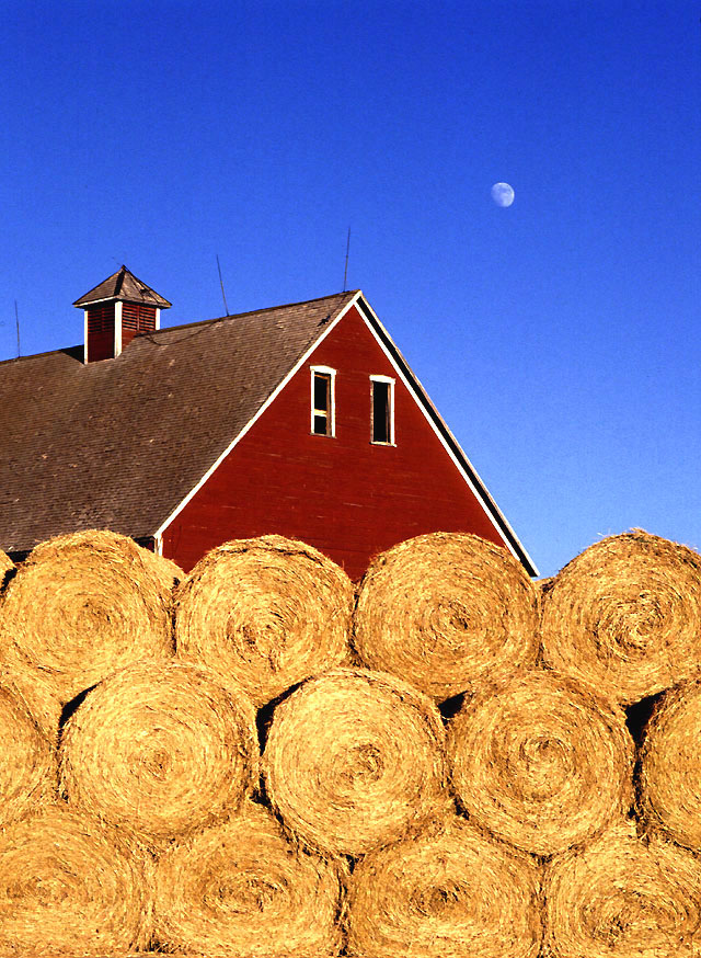 Supporting Midsize Producers, Impact Statement for Hatch Multistate Research Project NC1198