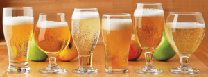 Cider and Wine Workshops 2024