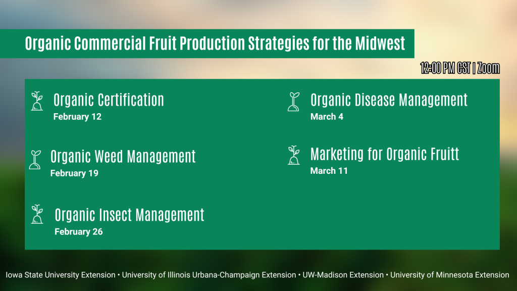 Organic Commercial Fruit Production Strategies for the Midwest