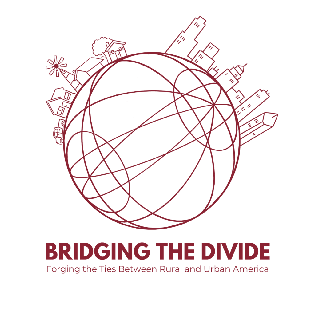 Bridging the Divide Conference Logo