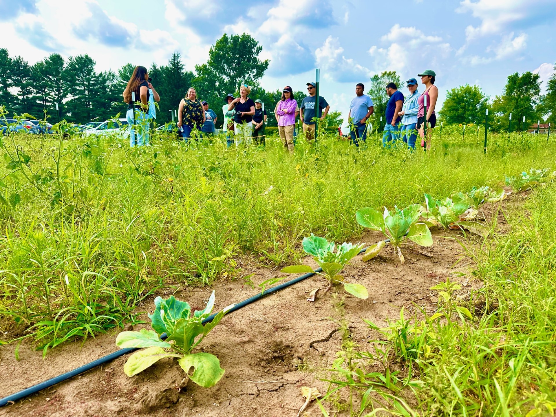 CIAS in the News: Wisconsin Rural Partnerships Institute project featured on Milwaukee’s NPR