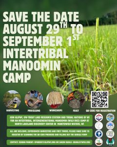 Intertribal Manoomin (Wild Rice) Camp Registration Now Open