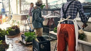 Farm Labor Management Dashboard
