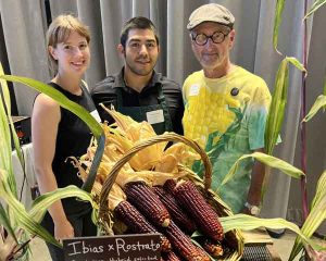 SUMMER RESEARCH MINIGRANT PROGRAM 2022